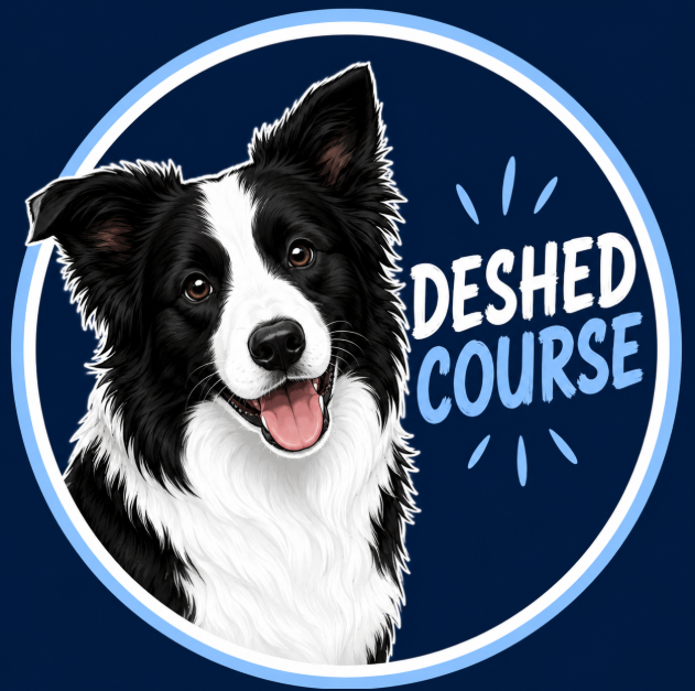Owner Groomer – Learn how to DESHED your own dog – DIY, Tingalpa, Brisbane.